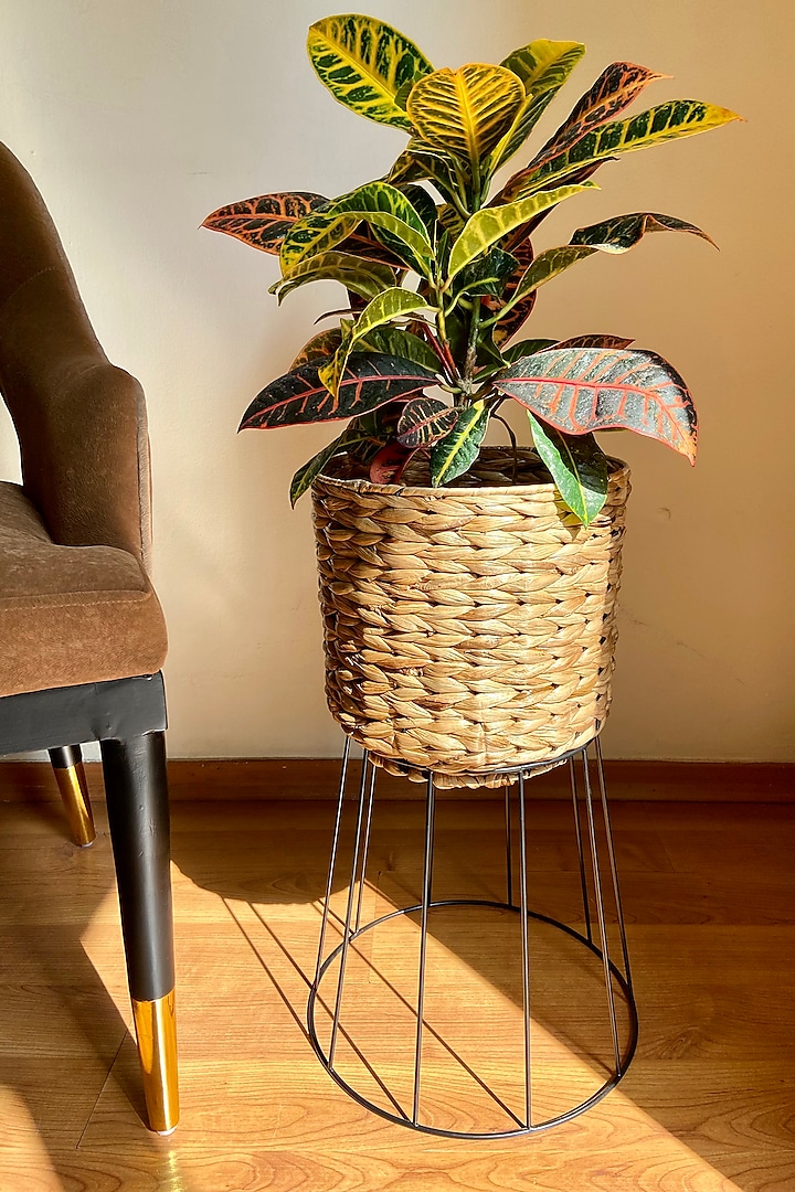 Brown & Black Water Hyacinth Planter by The house of trendz