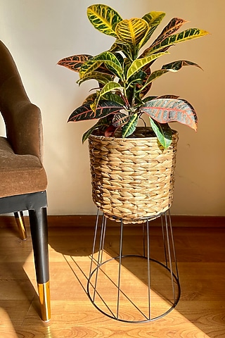 Brown & Black Water Hyacinth Planter by The house of trendz