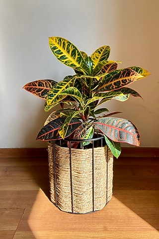 Brown & Black Metal Planter by The house of trendz