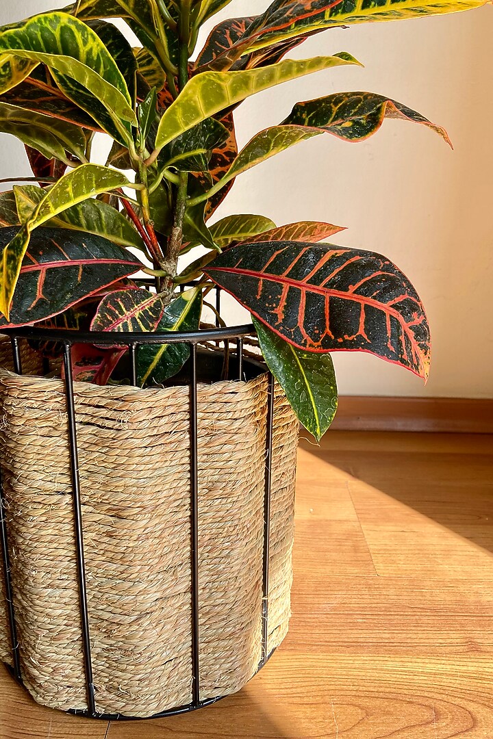 Brown & Black Metal Planter by The house of trendz at Pernia's Pop Up Shop