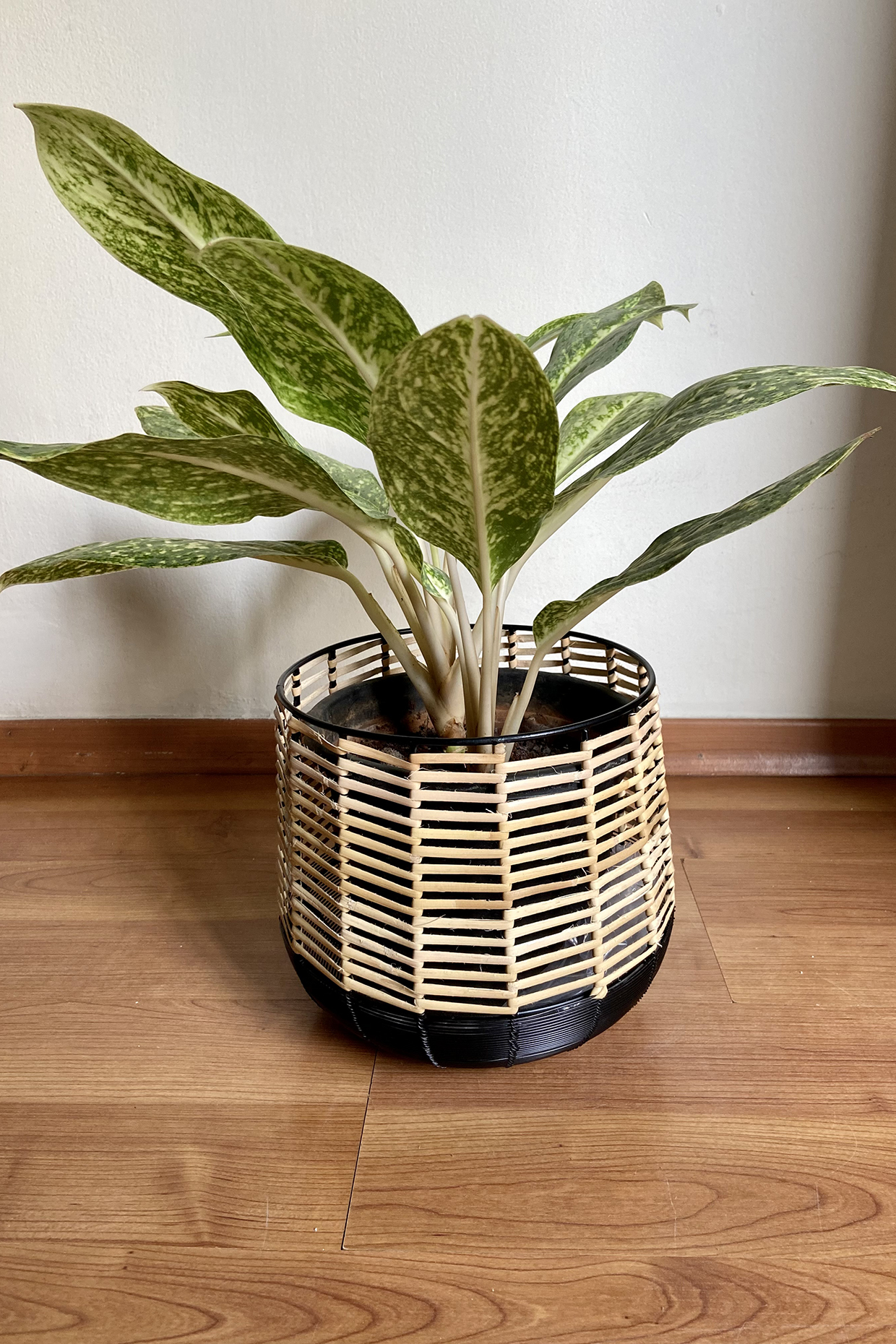 Black Metal & Cane Handwoven Planter by The house of trendz at Pernia's Pop Up Shop