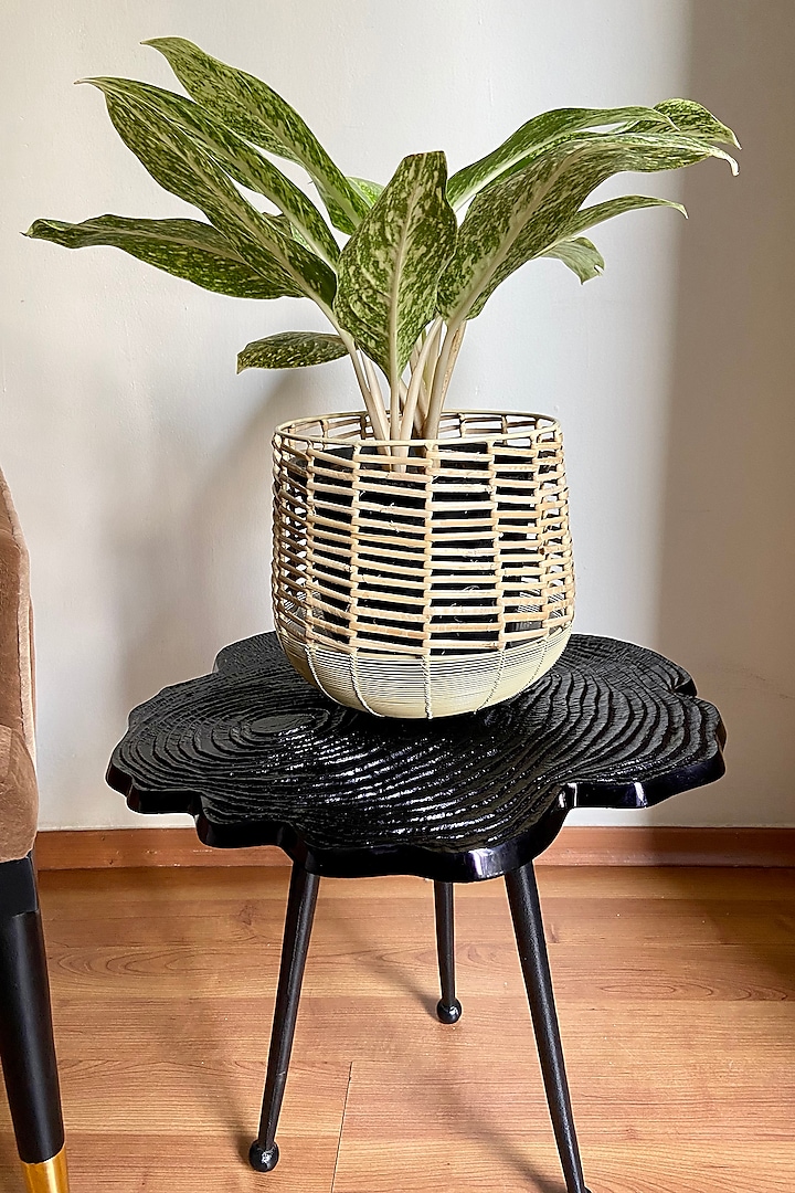 Ivory Metal & Cane Handwoven Planter by The house of trendz