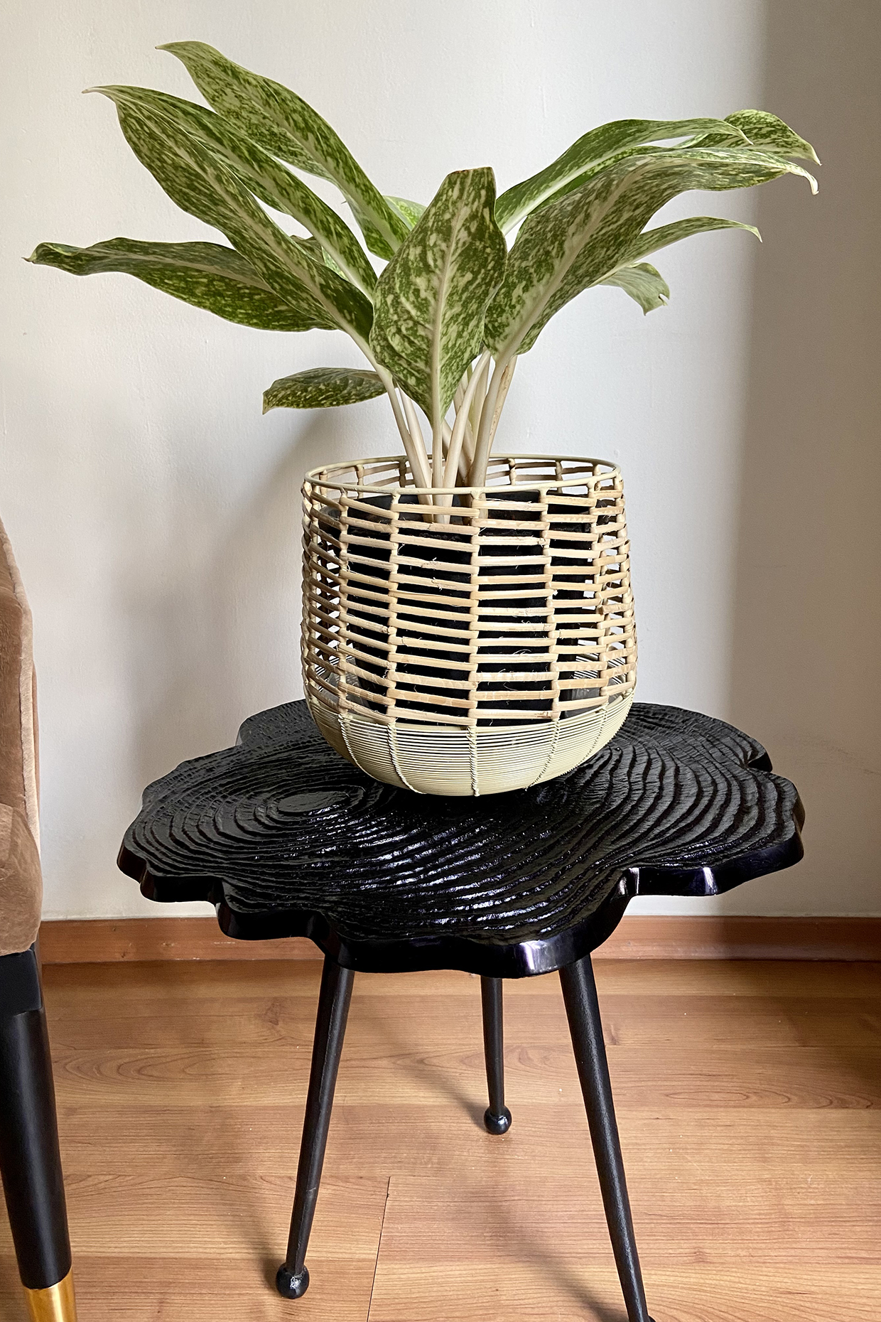 Ivory Metal & Cane Handwoven Planter by The house of trendz at Pernia's Pop Up Shop