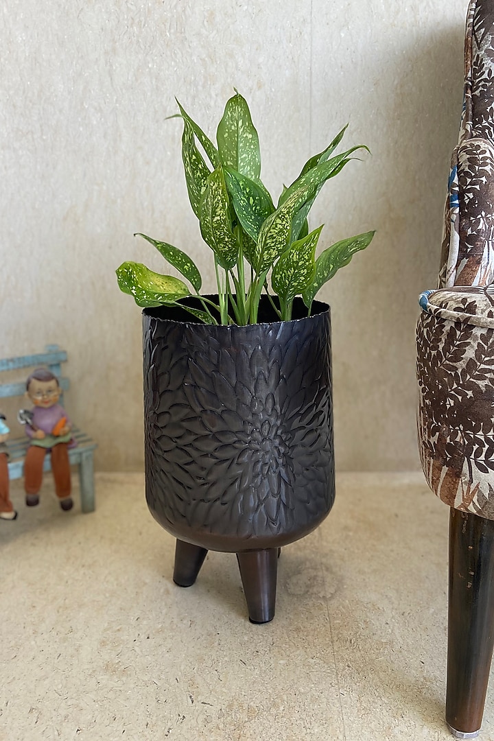 Brown Metal Handcarved Planter by The house of trendz