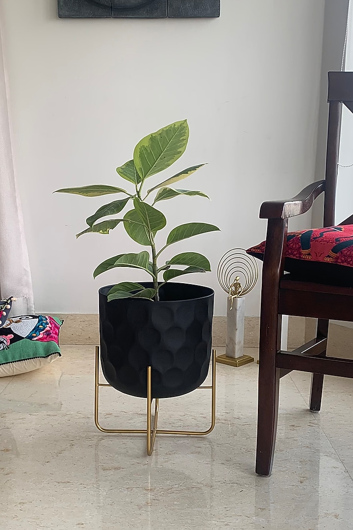 Matte Black & Gold Metal Planter by The house of trendz at Pernia's Pop Up Shop