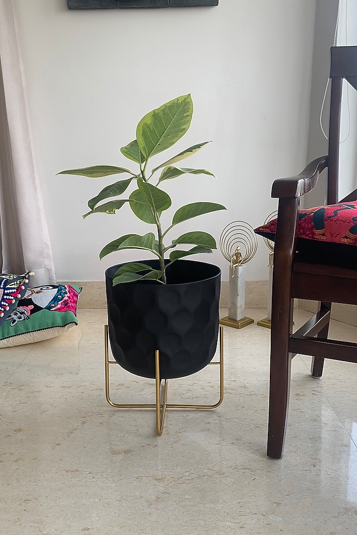 Matte Black & Gold Metal Planter by The house of trendz at Pernia's Pop Up Shop