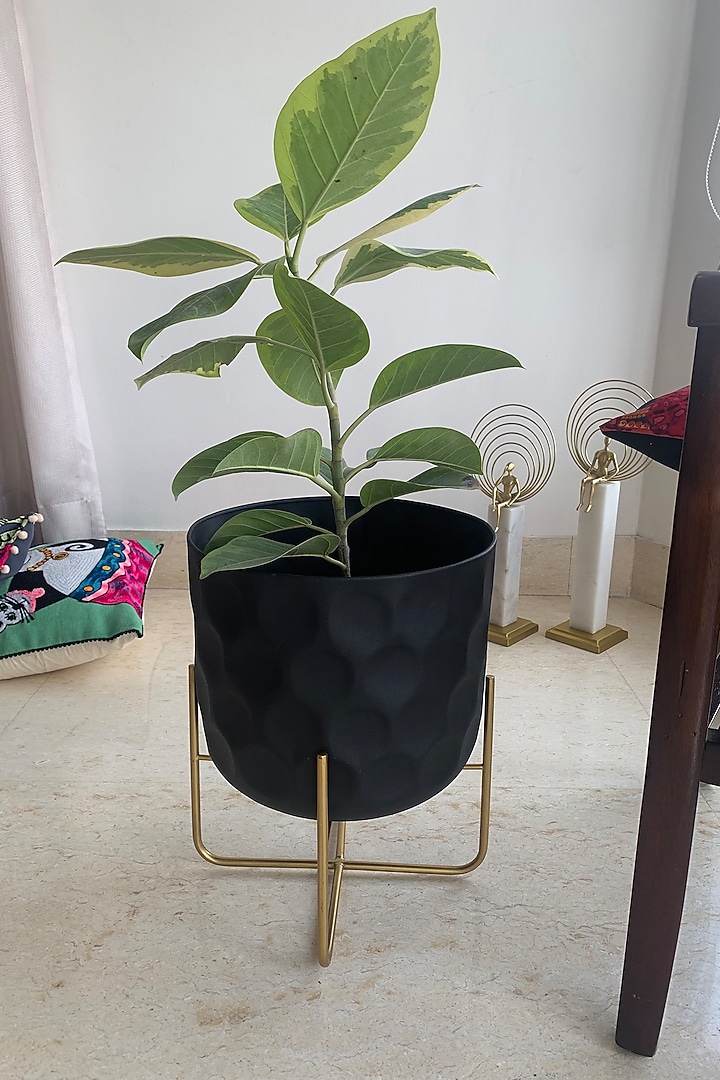 Matte Black & Gold Metal Planter by The house of trendz at Pernia's Pop Up Shop