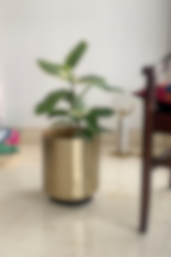 Gold & Black Metal Planter by The house of trendz at Pernia's Pop Up Shop