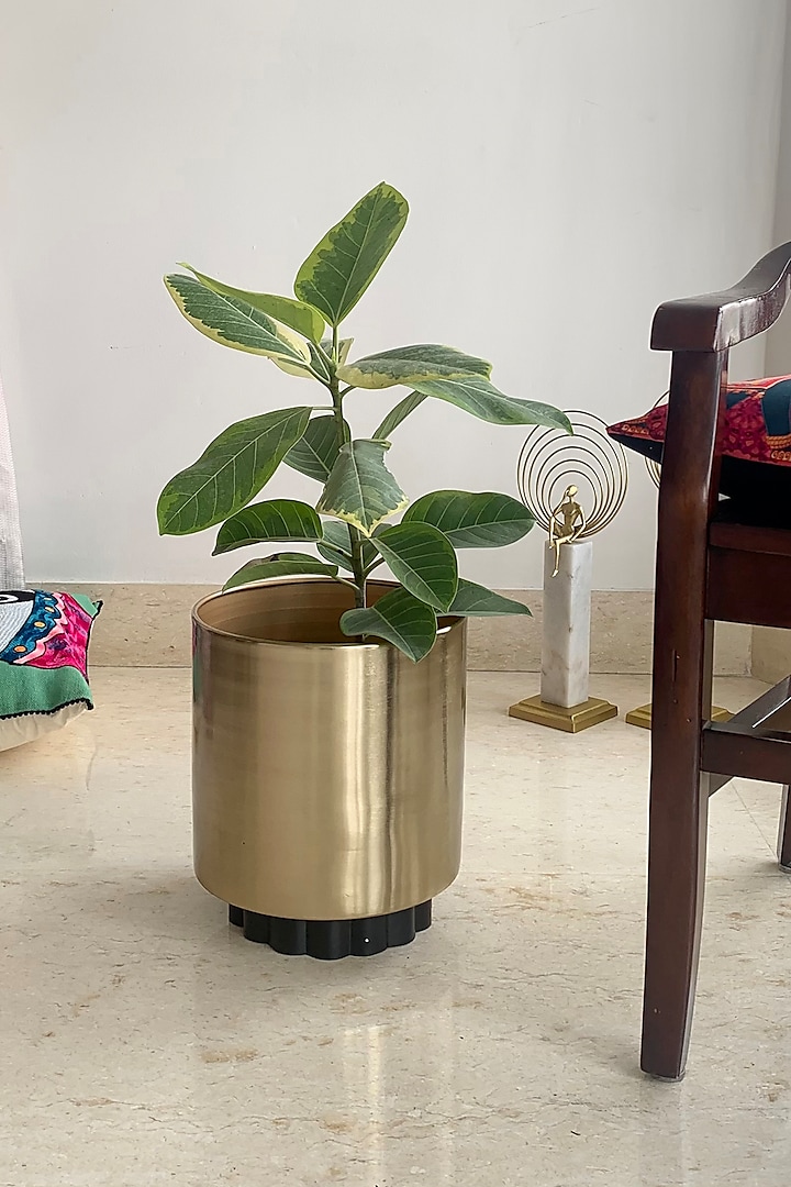 Gold & Black Metal Planter by The house of trendz at Pernia's Pop Up Shop