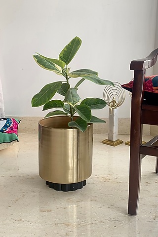 Gold & Black Metal Planter by The house of trendz