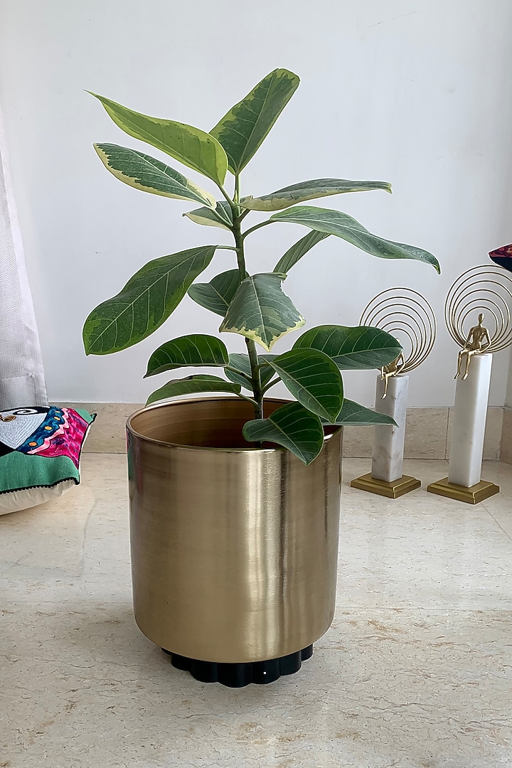 Gold & Black Metal Planter by The house of trendz at Pernia's Pop Up Shop