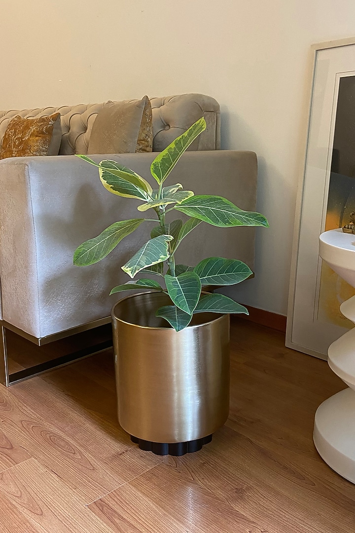 Gold & Black Metal Planter by The house of trendz at Pernia's Pop Up Shop
