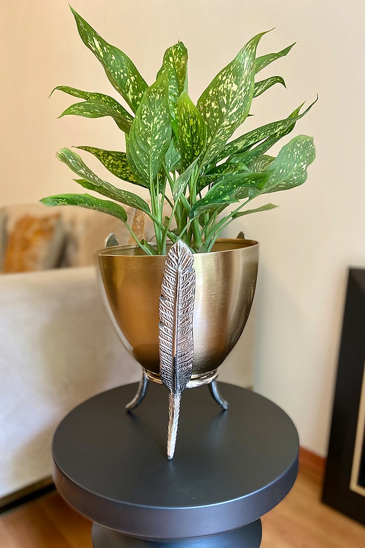 Gold & Silver Metal Hand-Made Planter by The house of trendz