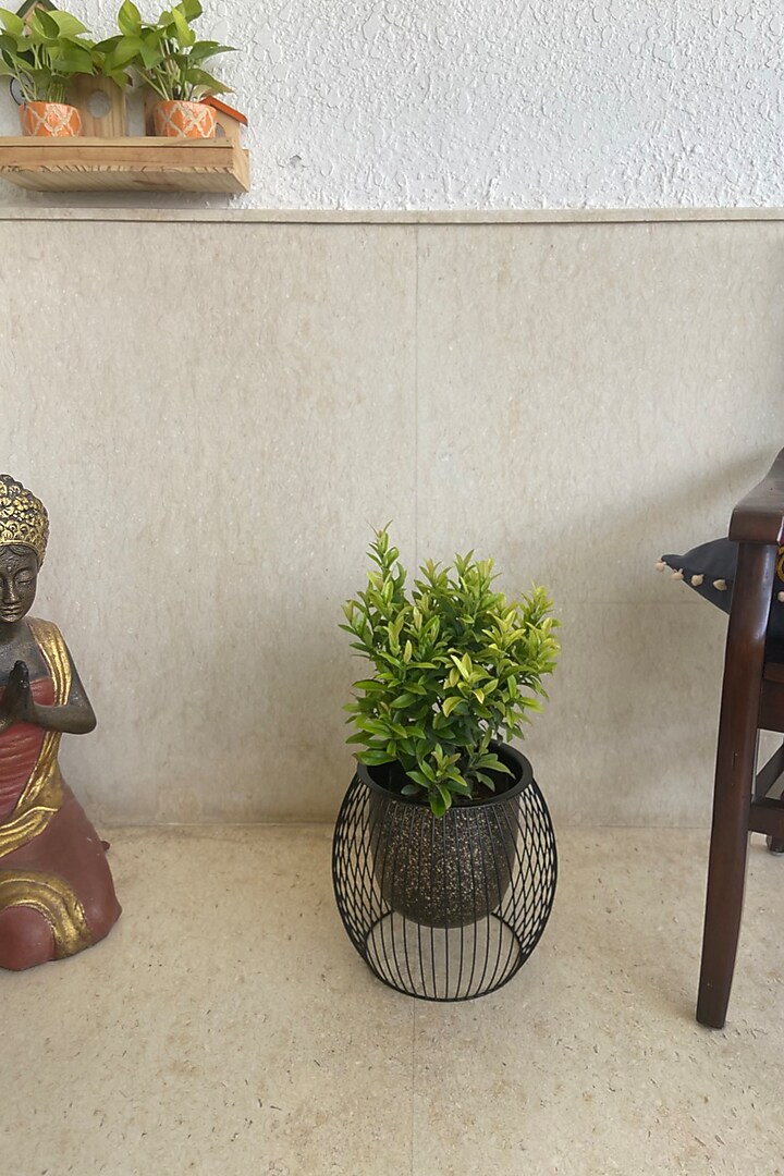 Black Metal Caged Planter by The house of trendz at Pernia's Pop Up Shop