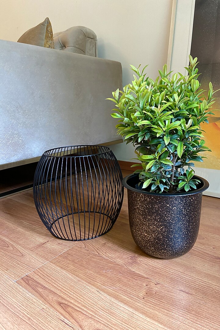 Black Metal Caged Planter by The house of trendz at Pernia's Pop Up Shop