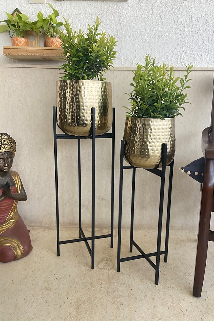 Gold & Black Tall Metal Planters (Set of 2) by The house of trendz