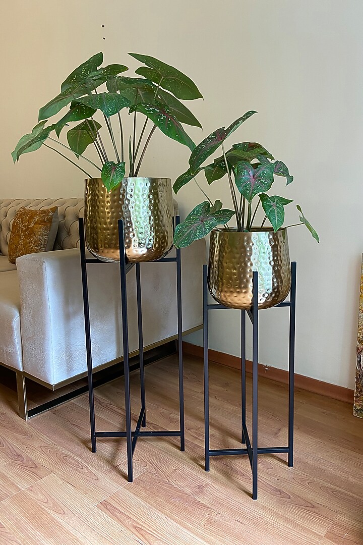 Gold & Black Tall Metal Planters (Set of 2) by The house of trendz at Pernia's Pop Up Shop