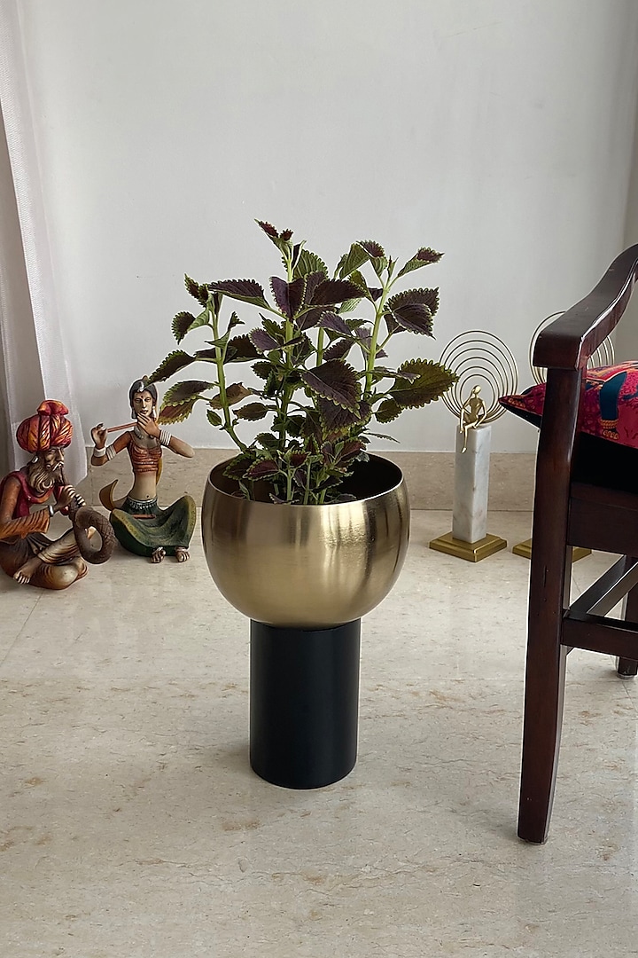 Gold & Black Metal Cylindrical Planter by The house of trendz at Pernia's Pop Up Shop