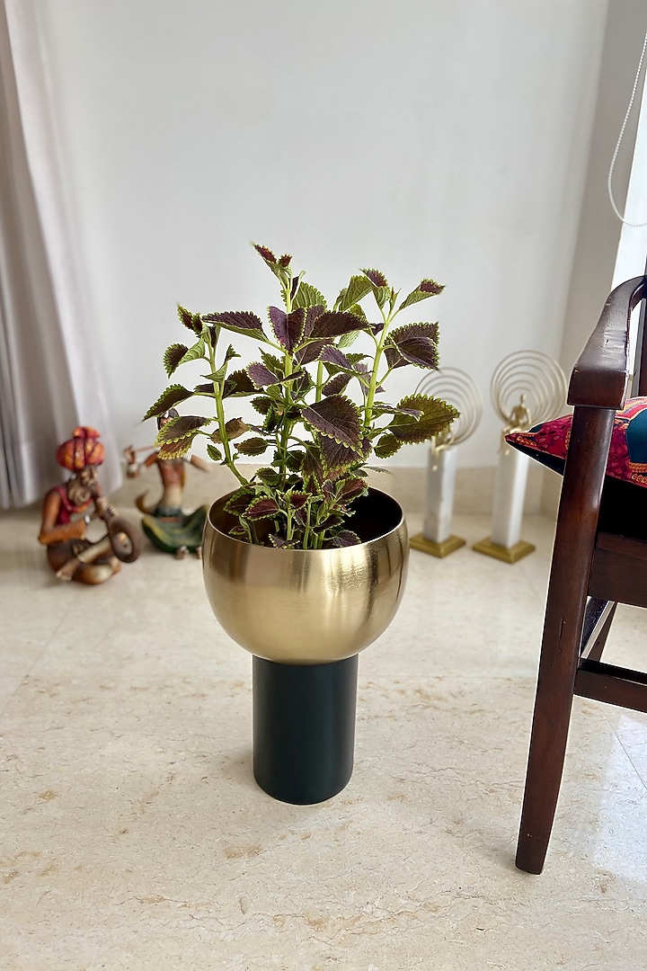 Gold & Black Metal Cylindrical Planter by The house of trendz at Pernia's Pop Up Shop