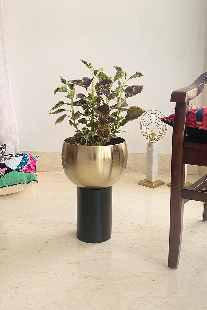 Gold & Black Metal Cylindrical Planter by The house of trendz at Pernia's Pop Up Shop