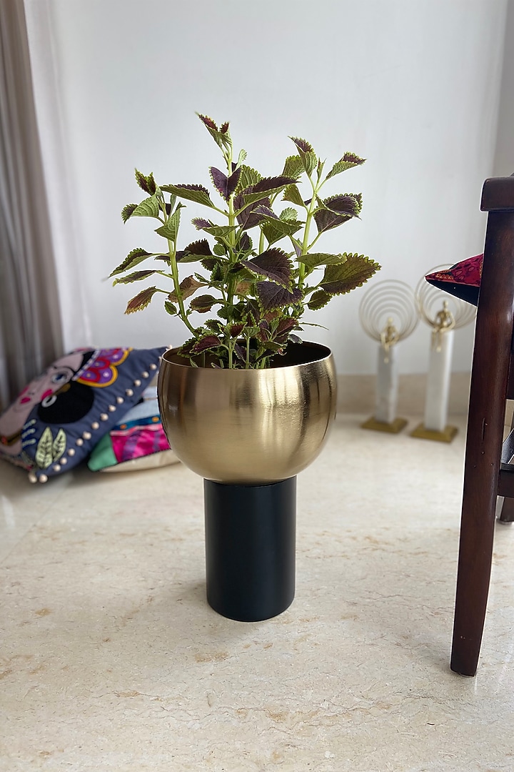Gold & Black Metal Cylindrical Planter by The house of trendz at Pernia's Pop Up Shop