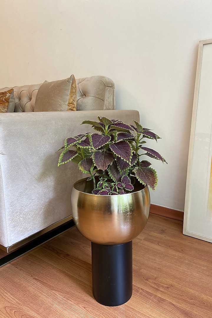 Gold & Black Metal Cylindrical Planter by The house of trendz at Pernia's Pop Up Shop