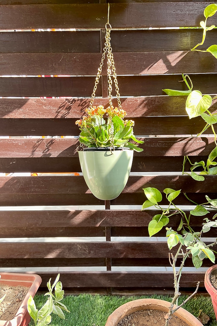 Green Metal Wall Hanging Planter by The house of trendz at Pernia's Pop Up Shop