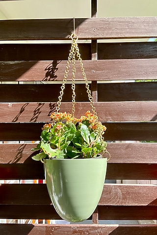 Green Metal Wall Hanging Planter by The house of trendz