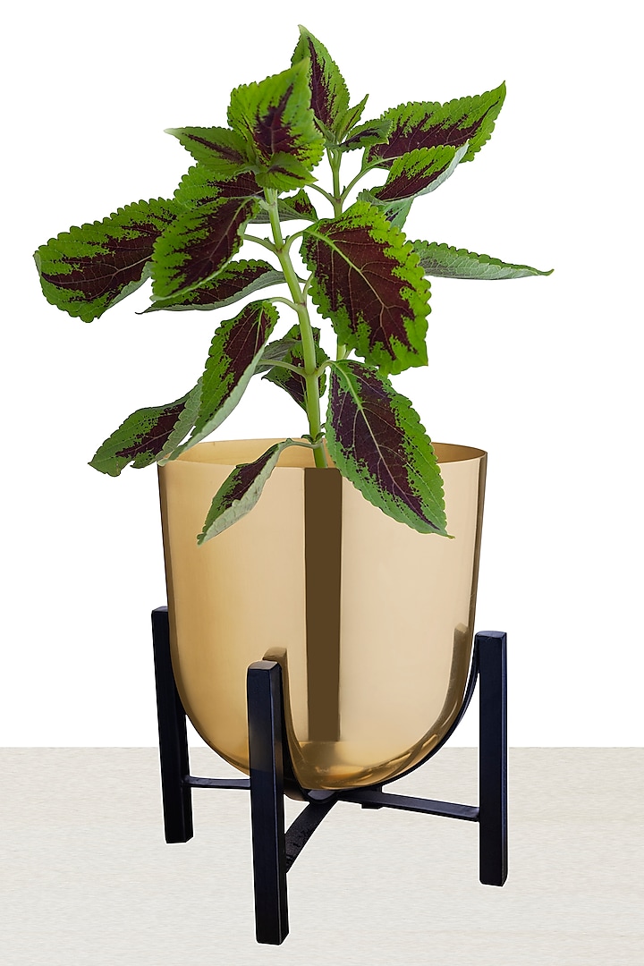 Gold Iron Table Planter by The house of trendz