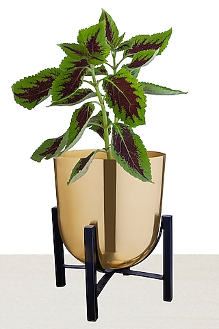 Gold Iron Table Planter by The house of trendz