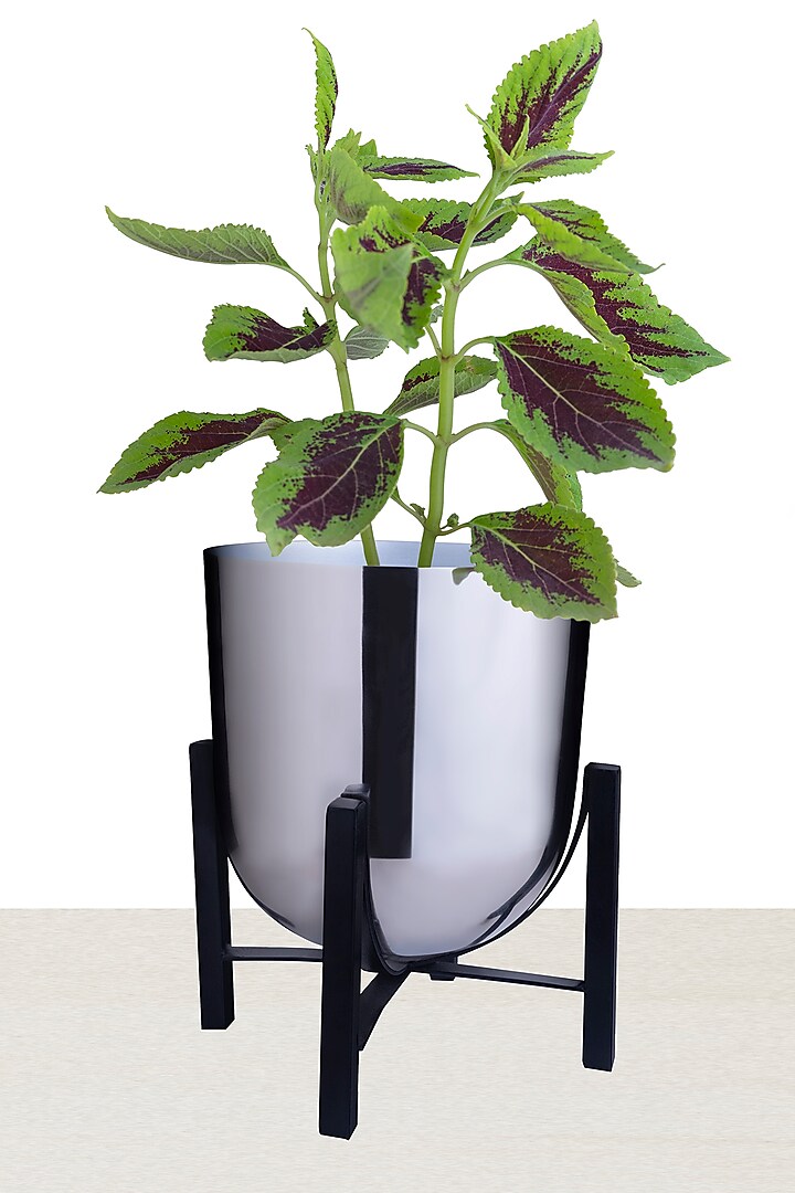 Silver Iron Table Planter by The house of trendz