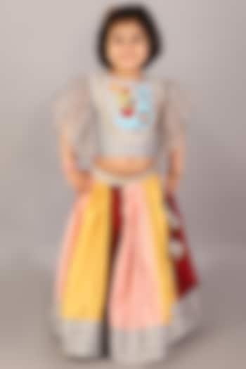 Multi-Colored Soft Net Lehenga Set For Girls by The little tales at Pernia's Pop Up Shop