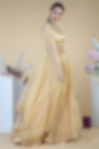 Gold Tissue Flared Lehenga Set by Talking Threads at Pernia's Pop Up Shop