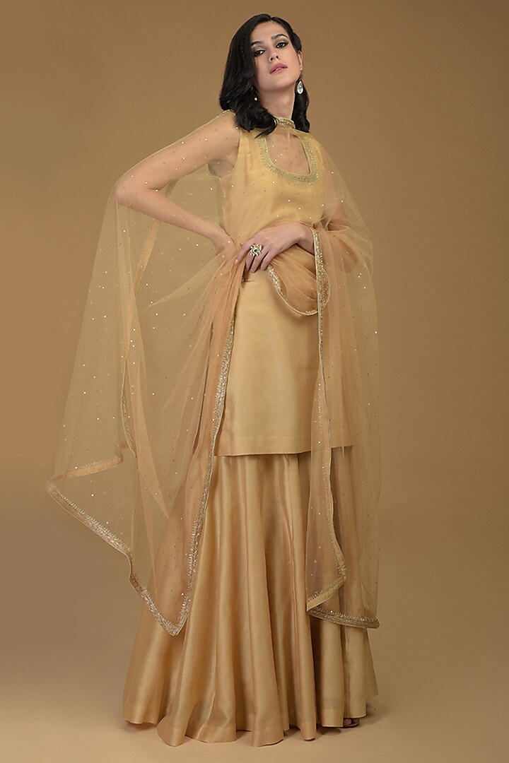 Nude Gold Embroidered Dupatta by Talking Threads
