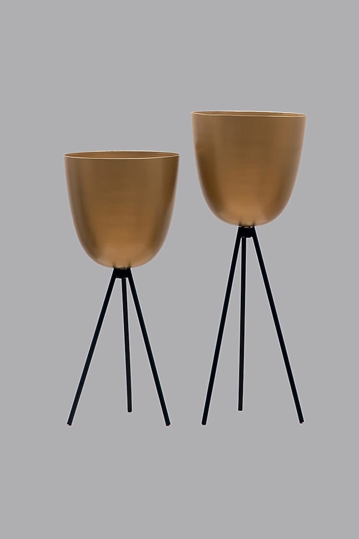 Black & Gold Iron Tripod Plant Holder Set by The MJS Living at Pernia's Pop Up Shop