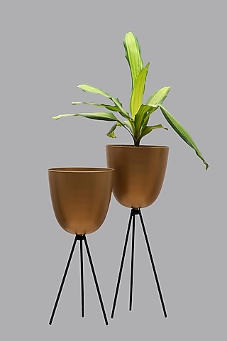 Black & Gold Iron Tripod Plant Holder Set by The MJS Living