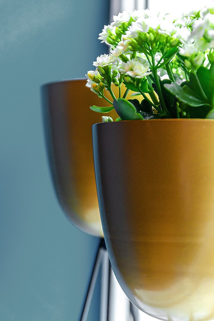 Black & Gold Iron Tripod Plant Holder Set by The MJS Living at Pernia's Pop Up Shop