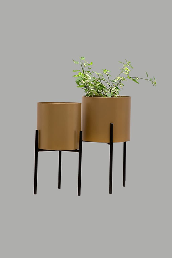 Black & Gold Iron Planter Set by The MJS Living