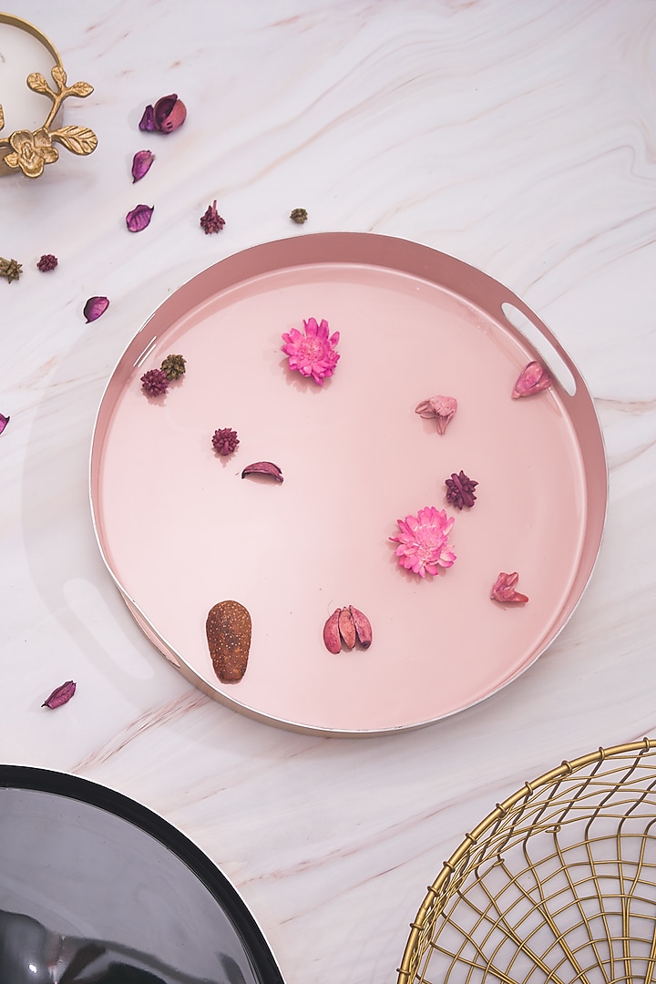 Pastel Pink Stainless Steel Tray by The Modern Storey
