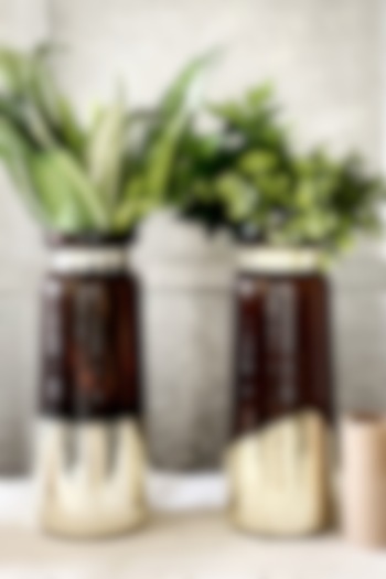 Brown & Gold Glass Vase (Set of 2) by The Modern Storey
