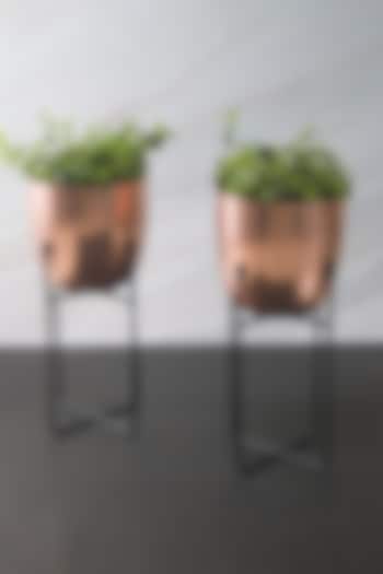 Rose Gold Iron Planter (Set of 2) by The Modern Storey