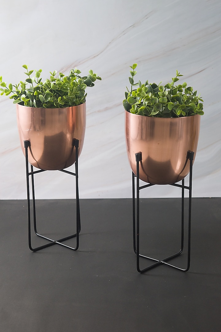 Rose Gold Iron Planter (Set of 2) by The Modern Storey