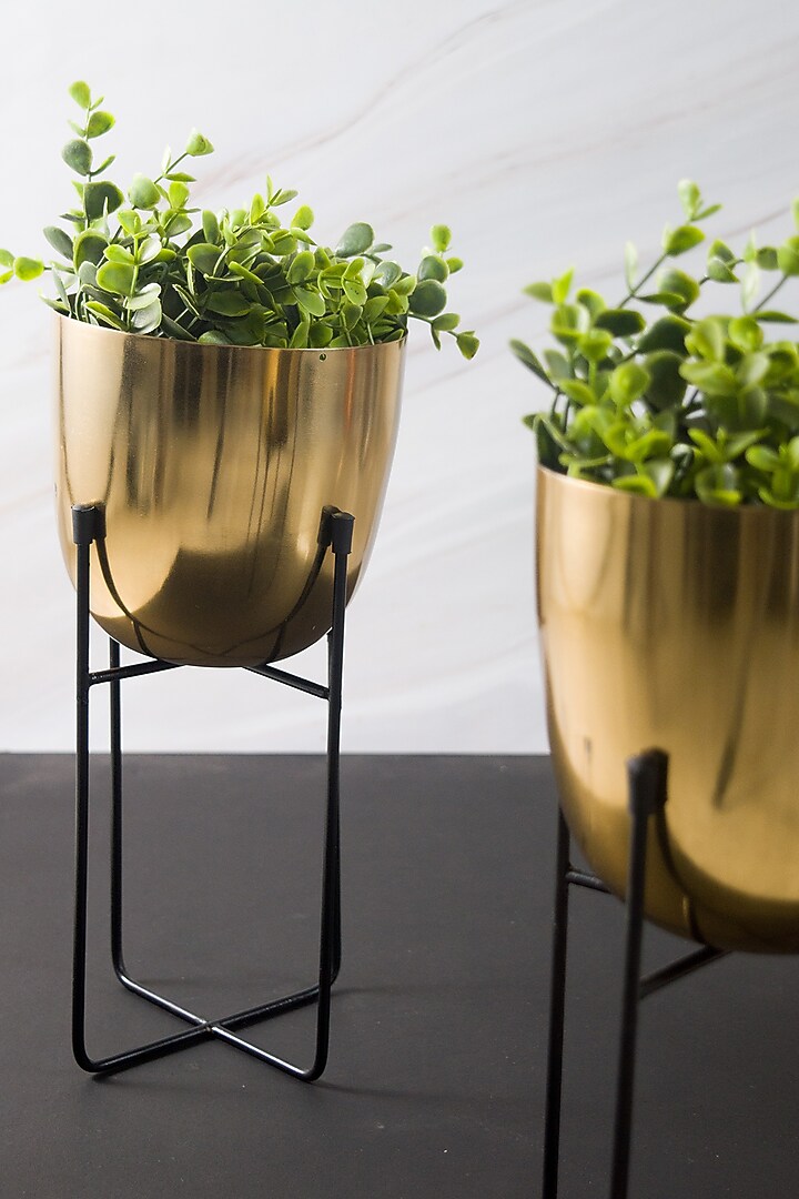 Gold Iron Planter (Set of 2) by The Modern Storey at Pernia's Pop Up Shop