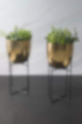 Gold Iron Planter (Set of 2) by The Modern Storey
