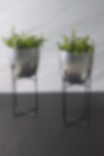 Silver Iron Planter (Set of 2) by The Modern Storey