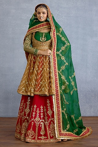 Multi-Colored Silk & Organza Lehenga Set by TORANI