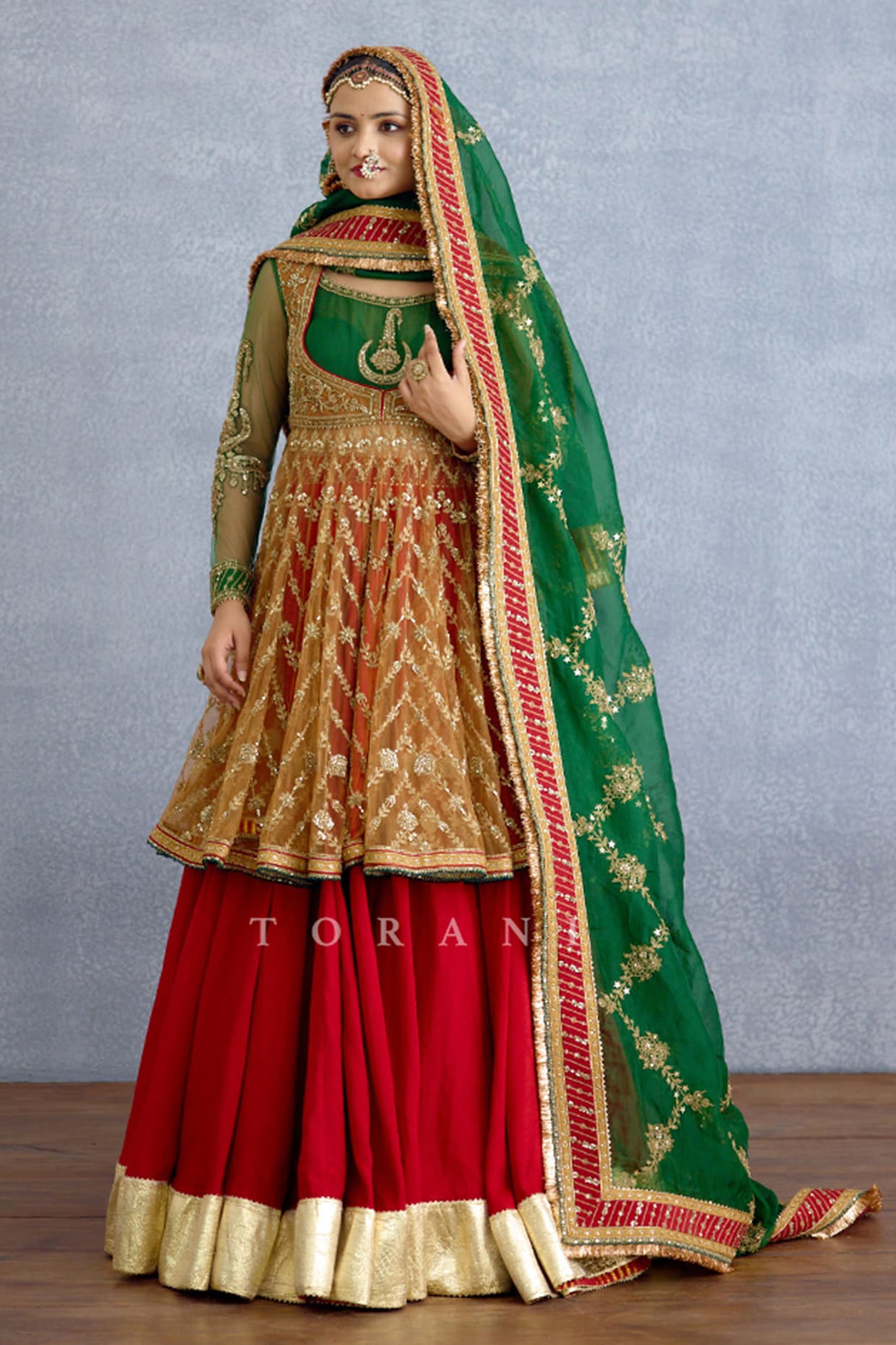 TORANI Multi-Colored Silk & Organza Embroidered Lehenga Set