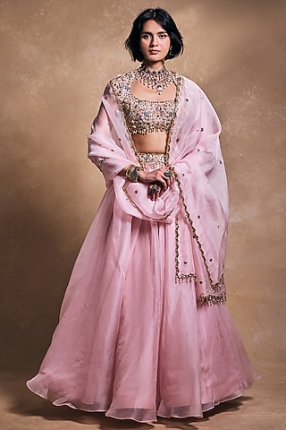 Baby Pink Raw Silk & Organza Zari Embroidered Lehenga Set by Tamanna Punjabi Kapoor
