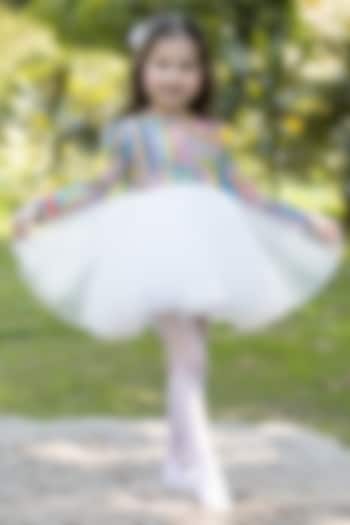 Multi-Colored Cotton & Net Dress For Girls by The Pony & Peony Co at Pernia's Pop Up Shop