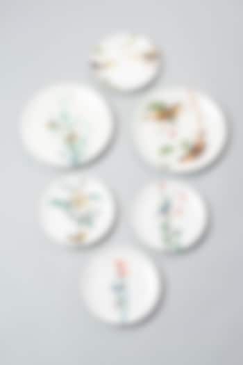 Indian Birds Wall Plates (Set of 6) by The Quirk India